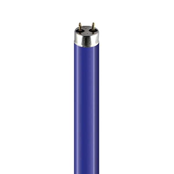 Blue Tube 120CM